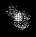 Mehr ber die Quantenphysik